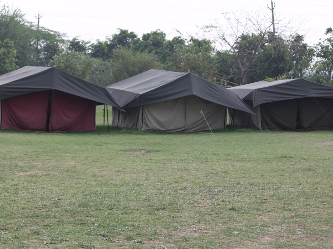Camp Wild at Aravali Valley-法里达巴德必去景点