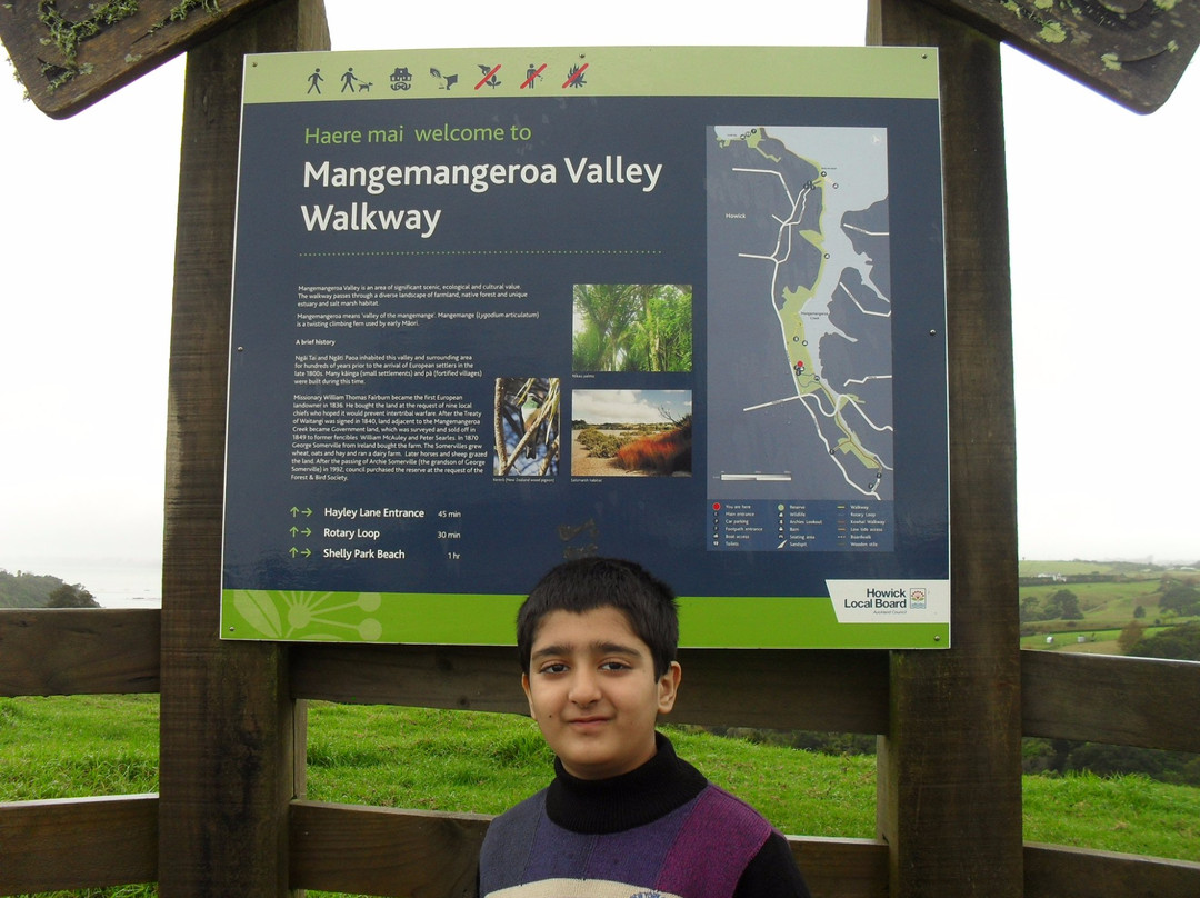 Mangemangeroa Reserve景点图片