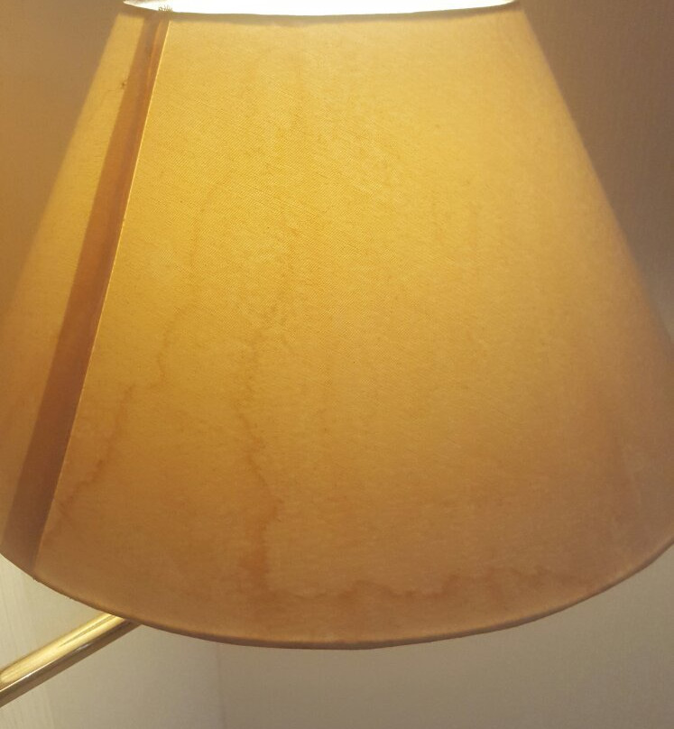 Hotel zum Schwan主图