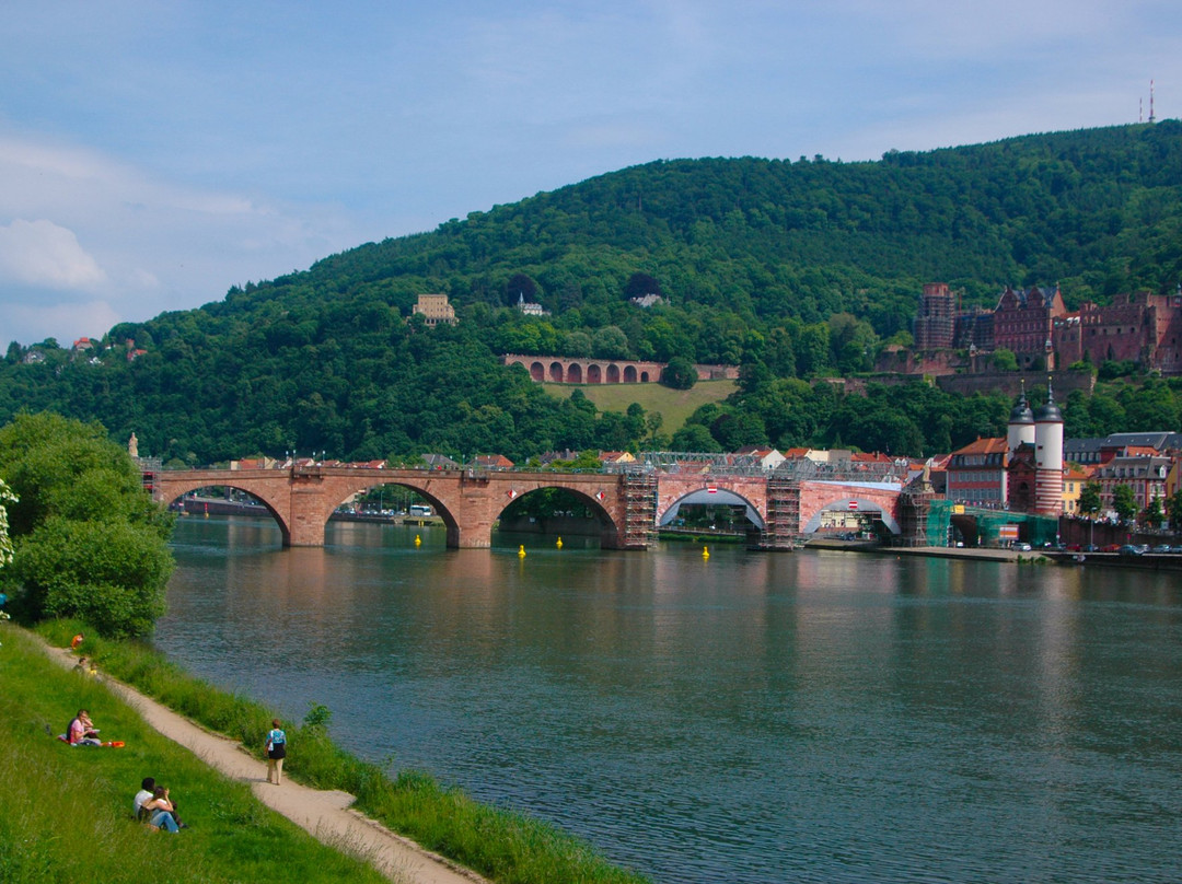 Neckarwiese Heidelberg-海德尔堡必去景点