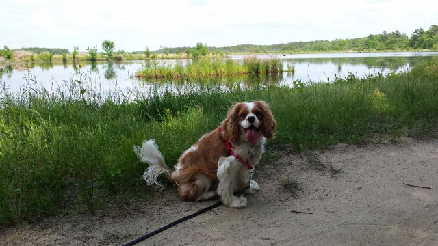 Whitesbog Village-Browns Mills必去景点