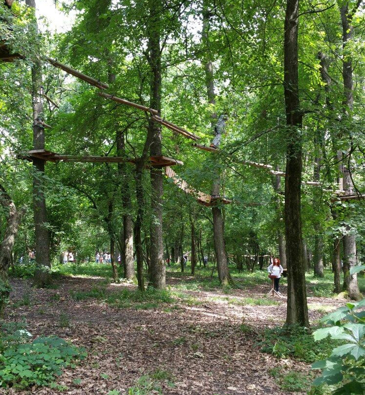 Extreme Park Cernica景点图片