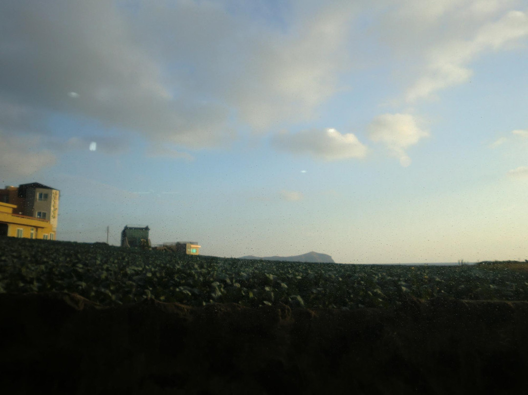 Longisland Guesthouse主图