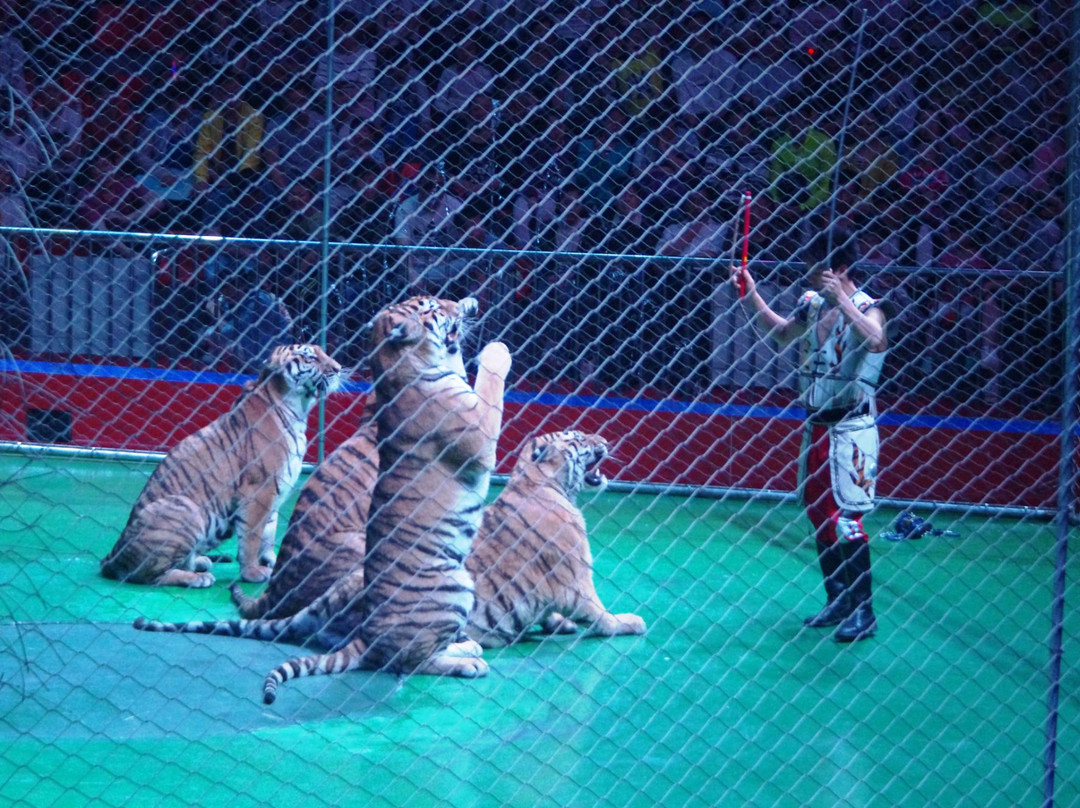 济南野生动物园-济南市必去景点