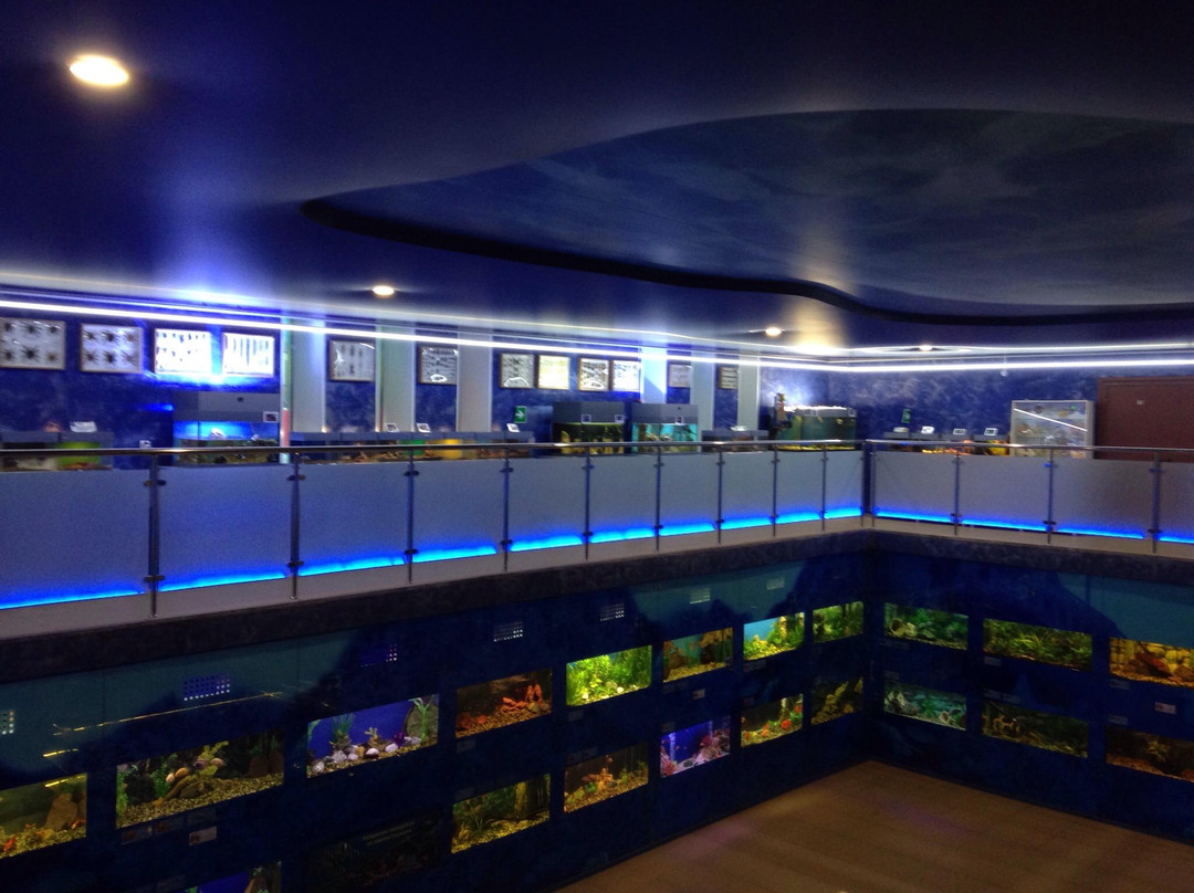 Aquarium Exhibit Hall-车里雅宾斯克必去景点