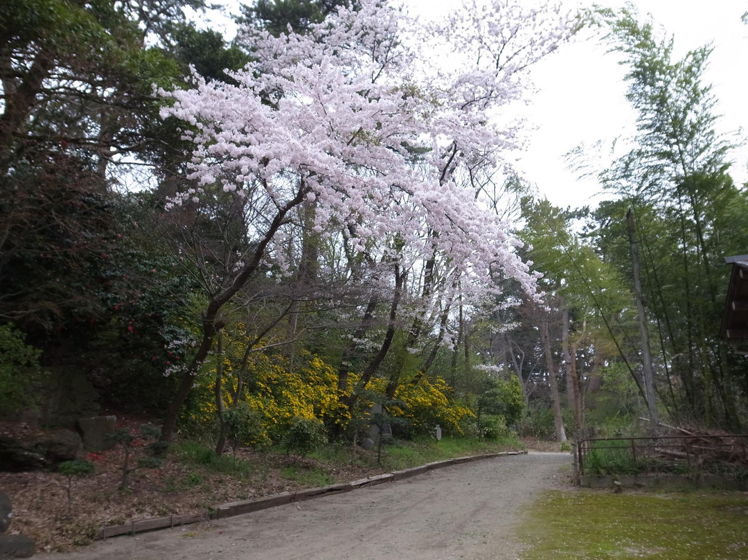 Mitsuoka Bunko Library-酒田市必去景点