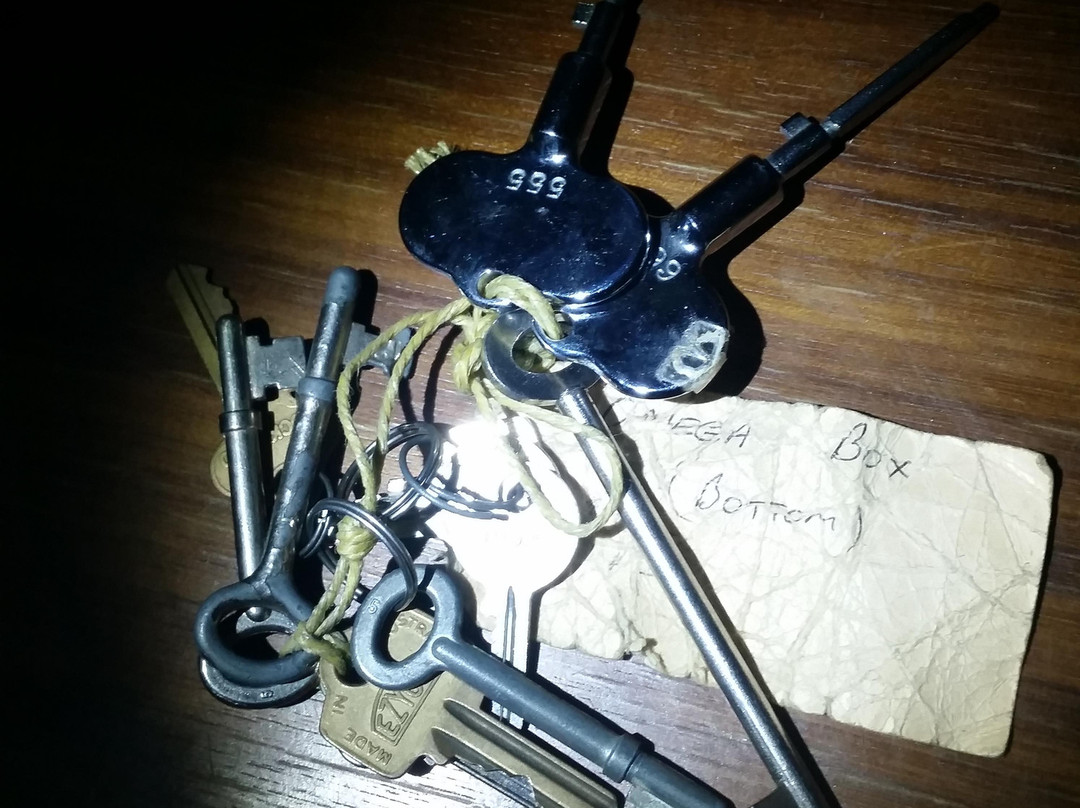 Small Time Criminals-普莱斯顿必去景点