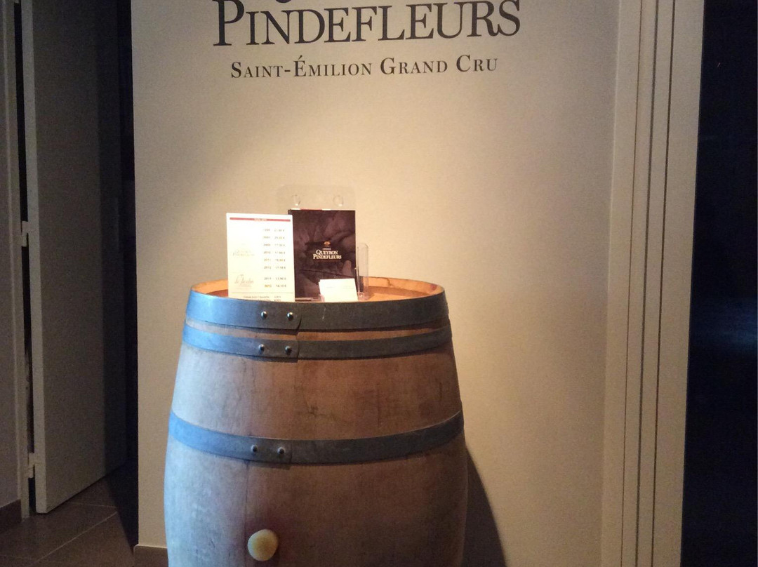 Chateau Queyron Pindefleurs景点图片