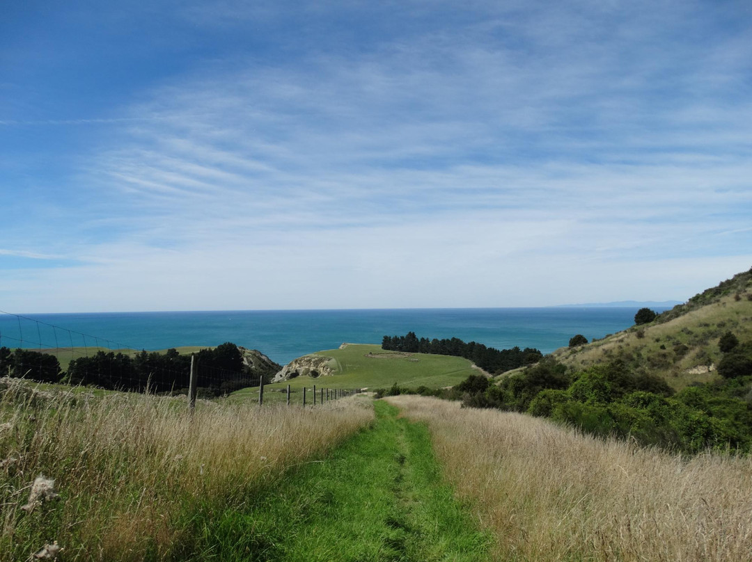 Waipara Valley Walks景点图片