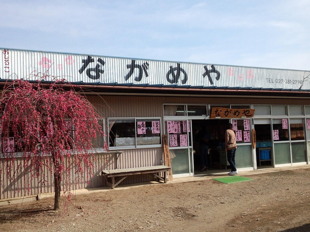 Akima Bairin-安中市必去景点