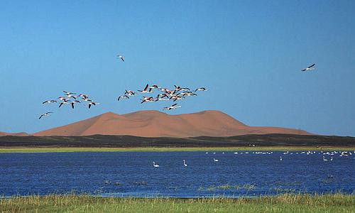 梅如卡旅游景点-The Lake of Merzouga