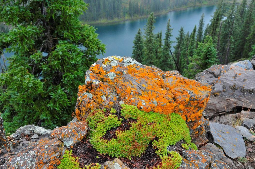 Crag Crest Trail-Mesa (Mesa County)必去景点