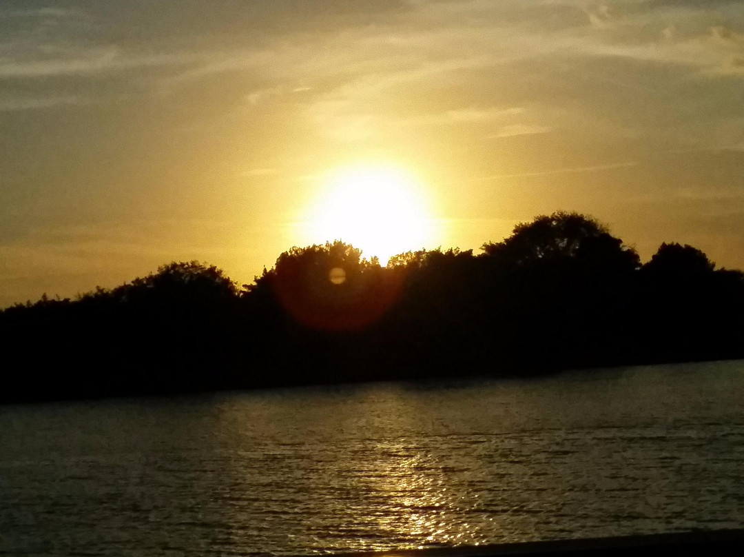 Bing's Landing-棕榈海岸必去景点