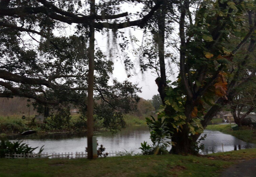 Clermont Waterfront Bikes And Boards-Clermont必去景点