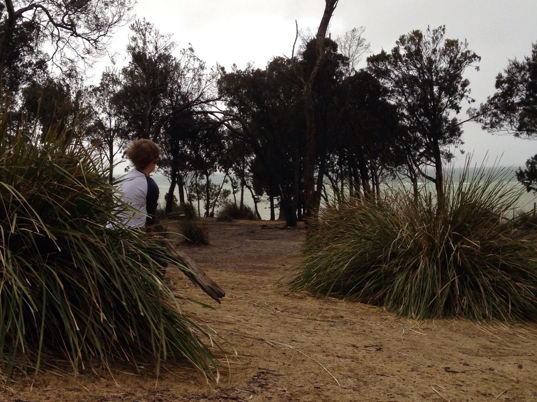 Lime Bay State Reserve-亚瑟港必去景点