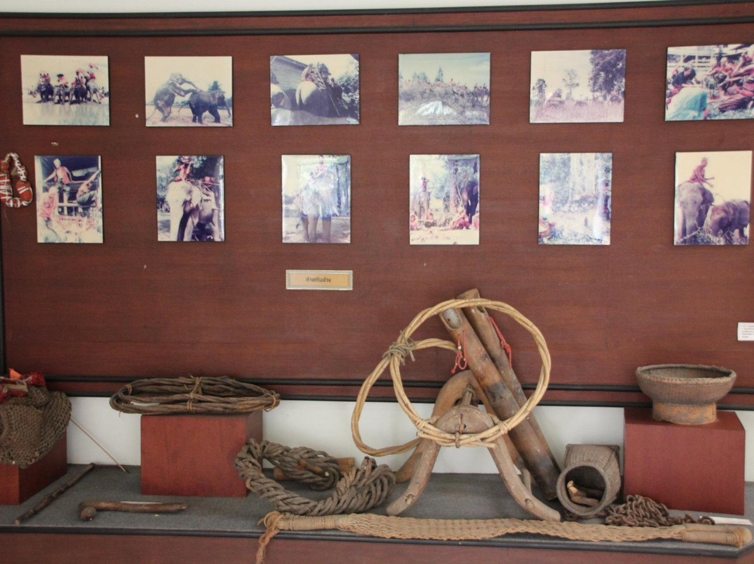 Lower Northeastern Cultural Centre景点图片