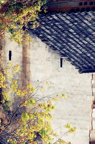 塔川秋色-黟县必去景点