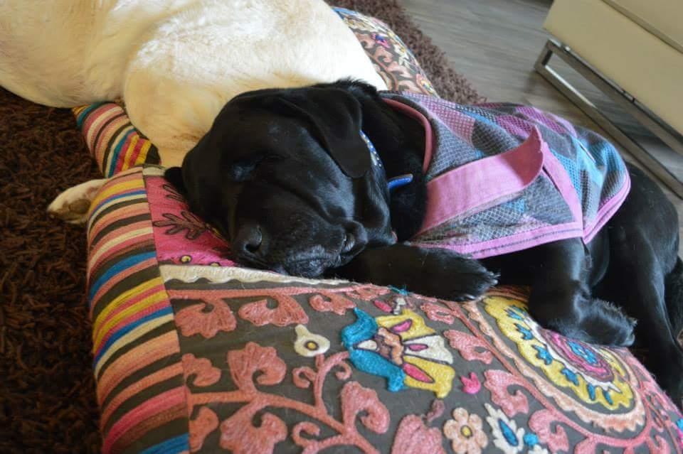 Green View Bed and Breakfast主图