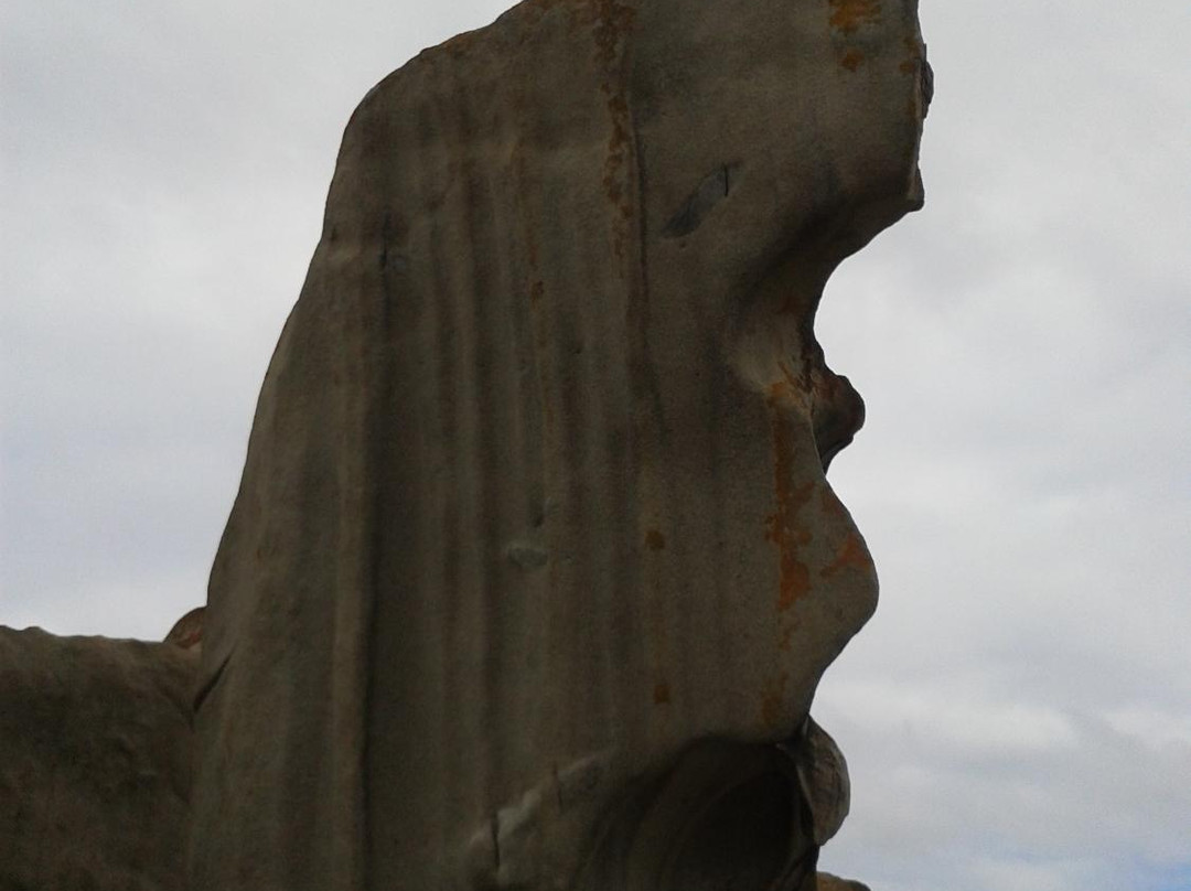 Kangaroo Island Transfers景点图片