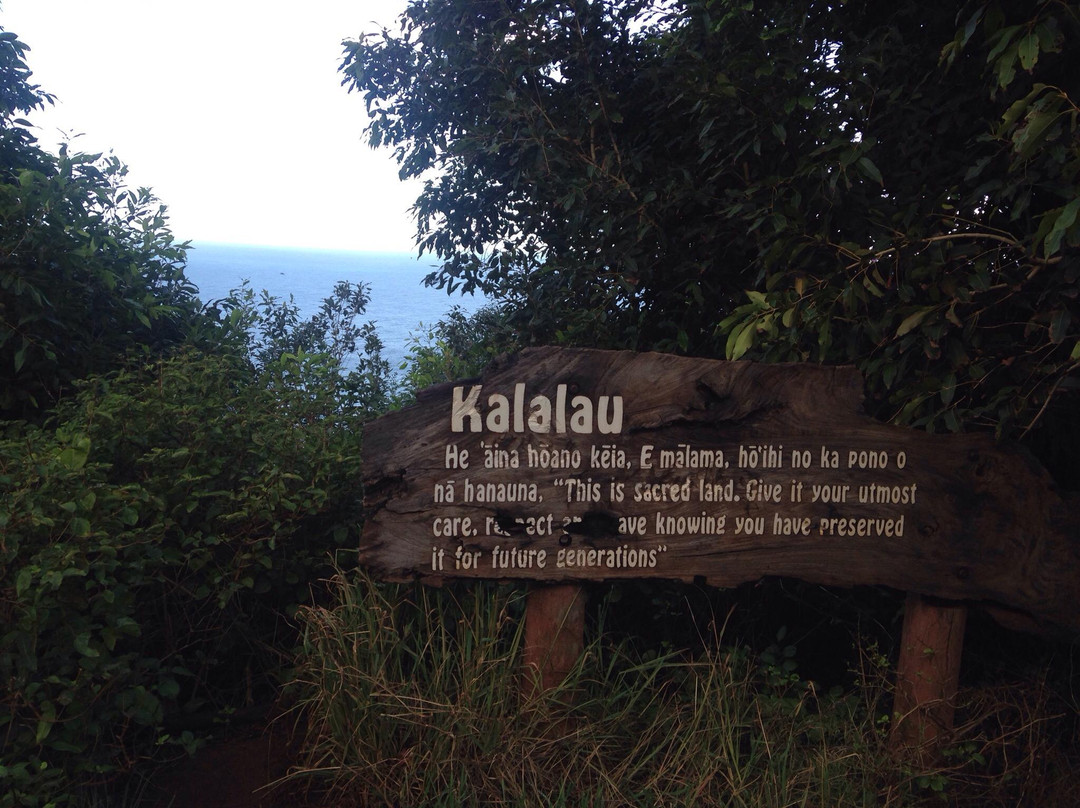 Kalalau Trail Outfitters-哈纳雷伊必去景点