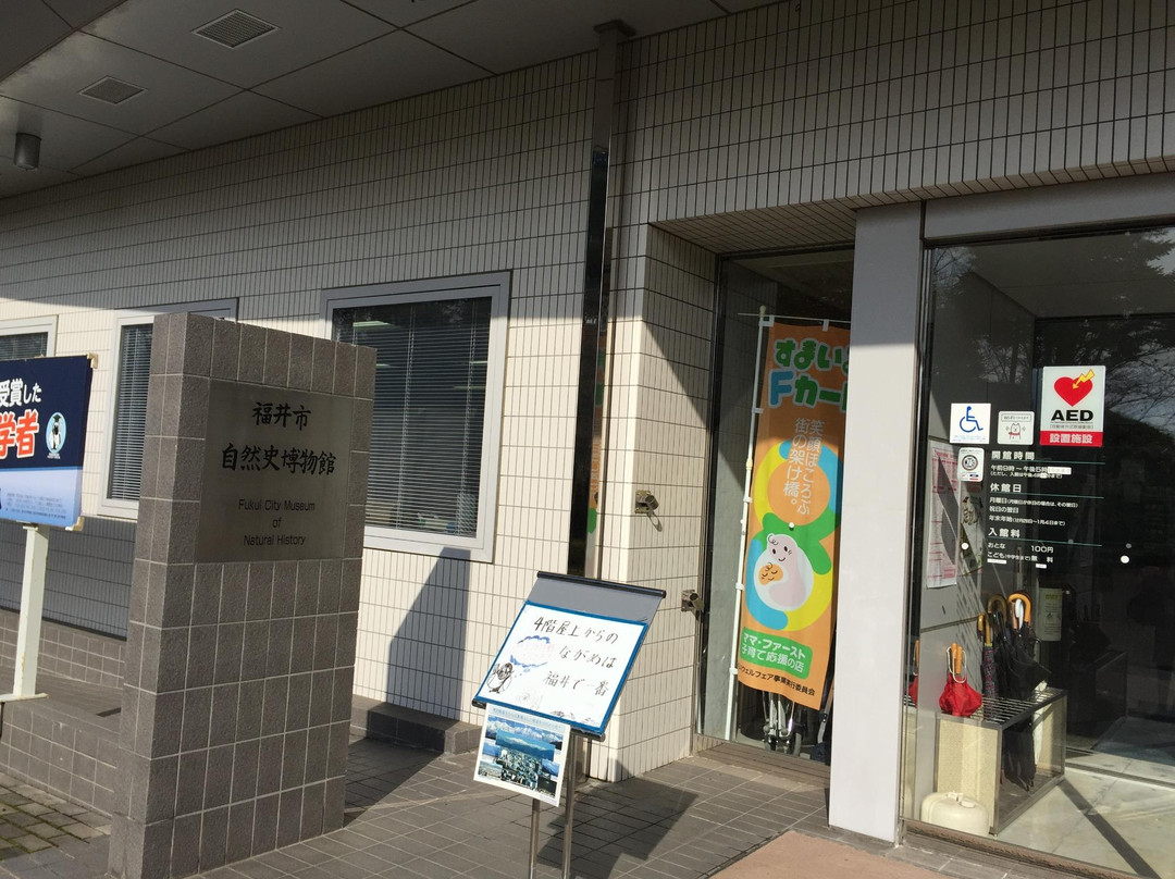 Fukui City Museum of Natural History景点图片