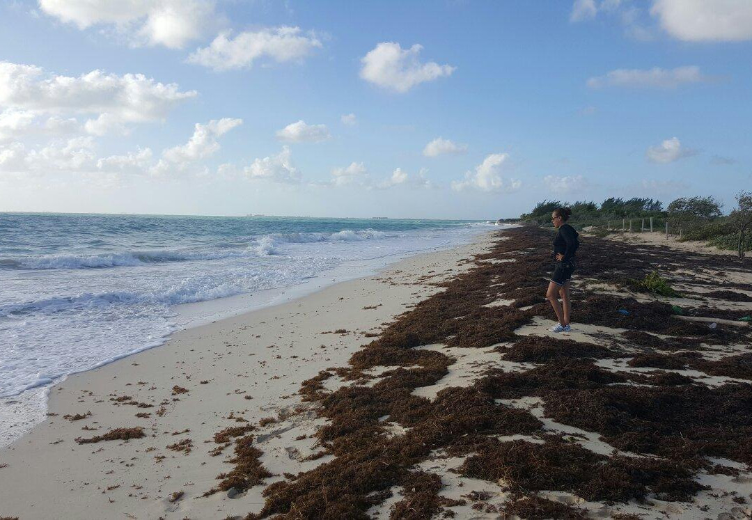 Fly Fish Isla Blanca-Isla Blanca必去景点