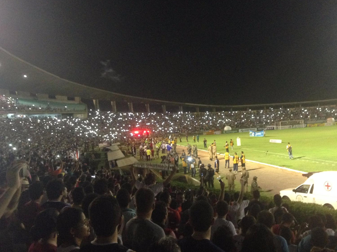 Governador Alberto Tavares Silva Stadium景点图片