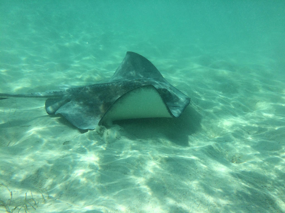 Coco Cay-Berry Islands必去景点