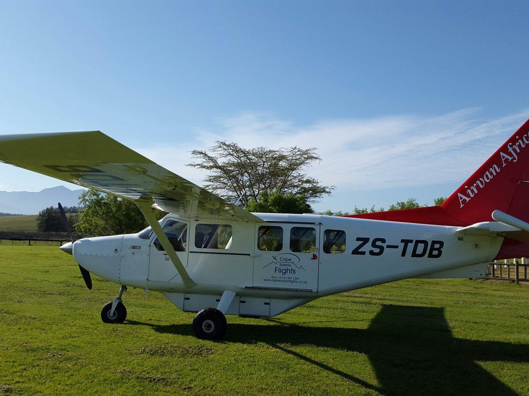 Cape Scenic Flights-开普敦必去景点