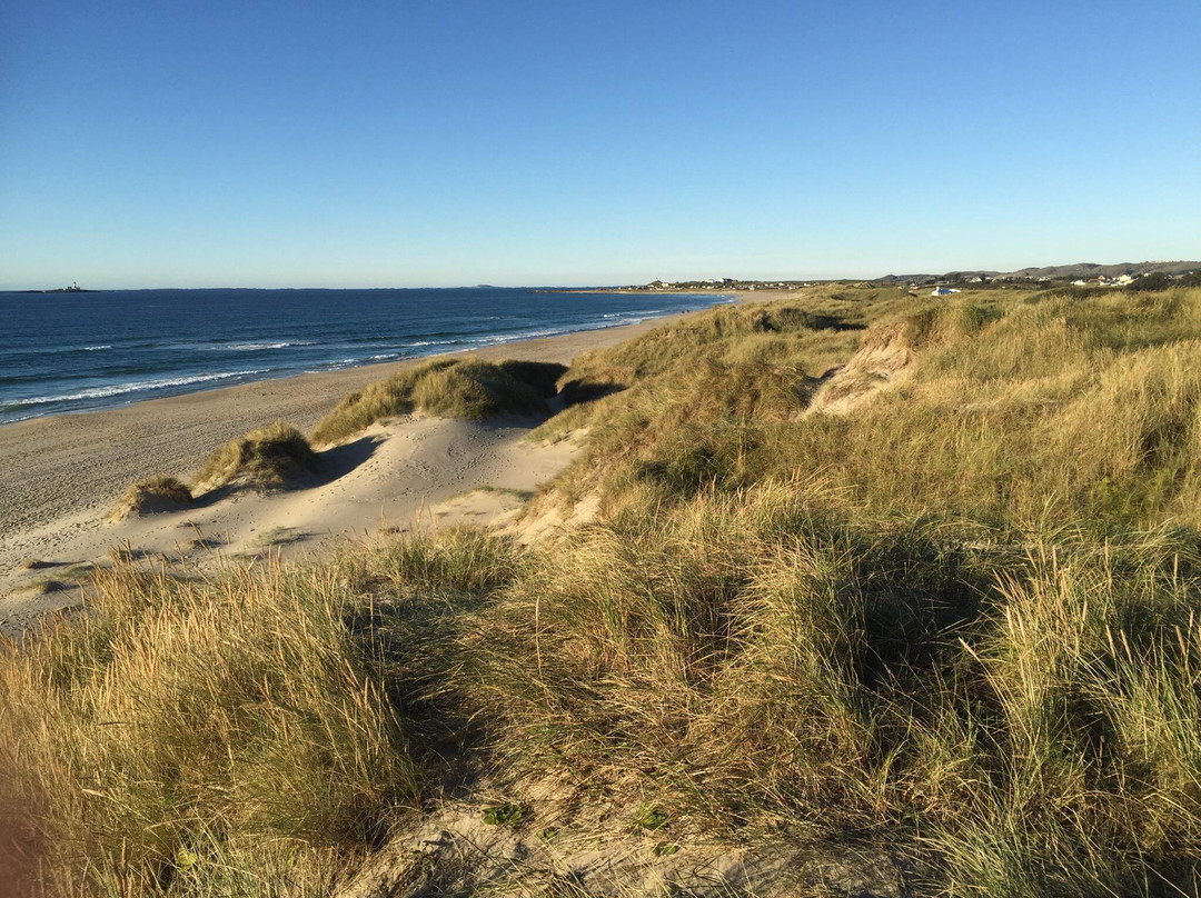 Borestranden Beach-Kleppe必去景点