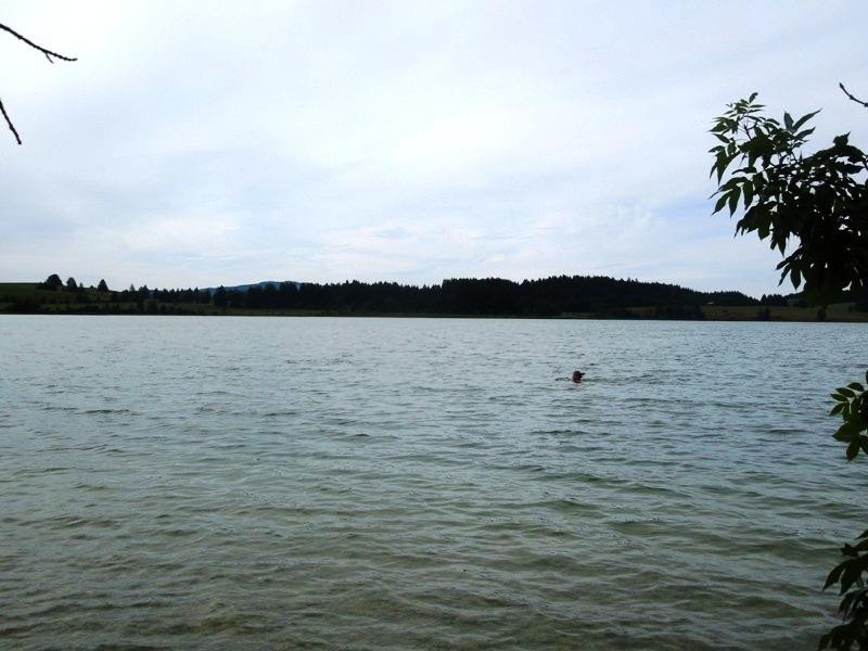 Bannwaldsee-施万高必去景点