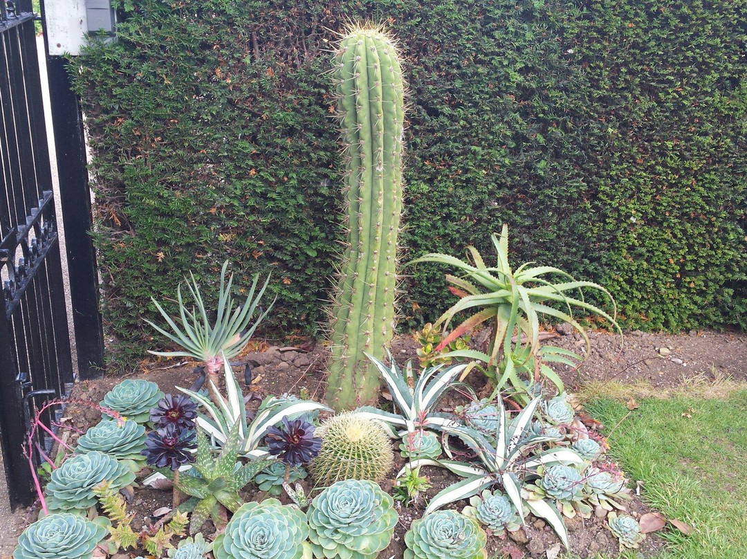 University of Leicester Botanic Garden景点图片