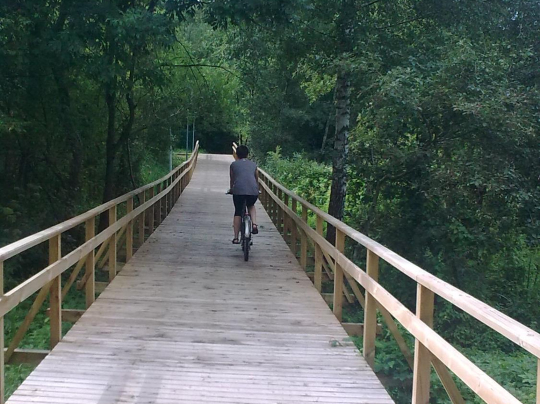 Cycling route Anyksciai-Puntukas Stone-阿尼克什奇艾必去景点