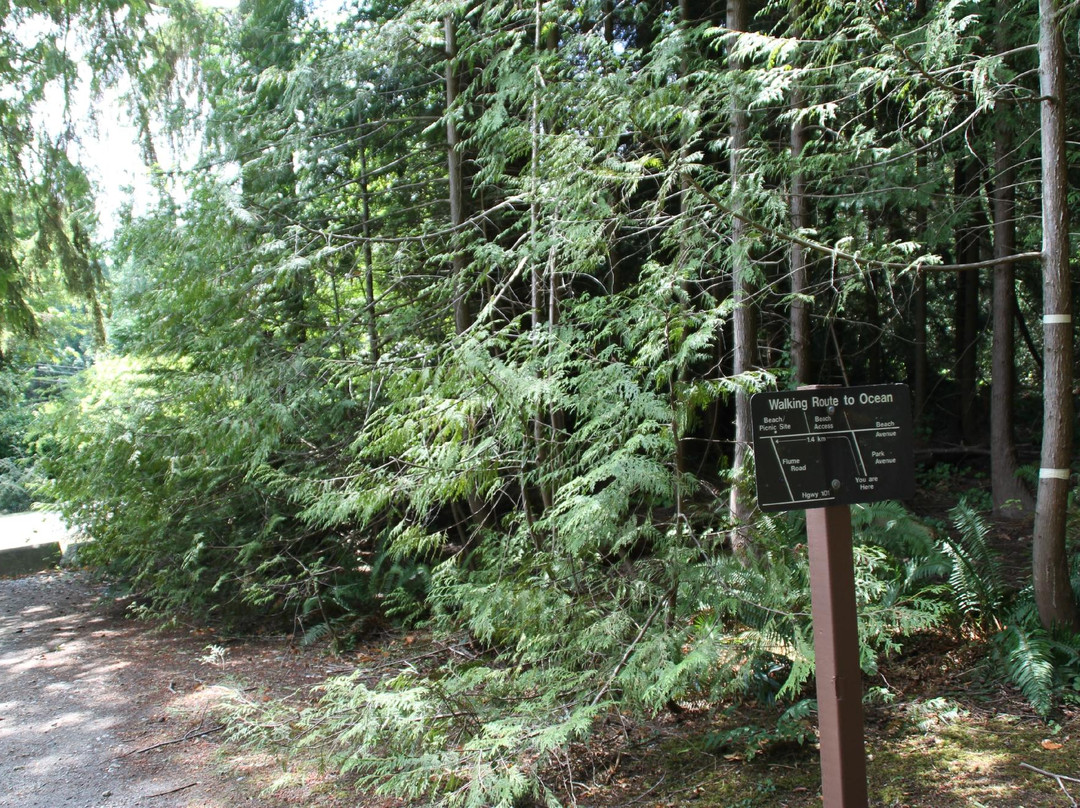 Roberts Creek Provincial Park景点图片