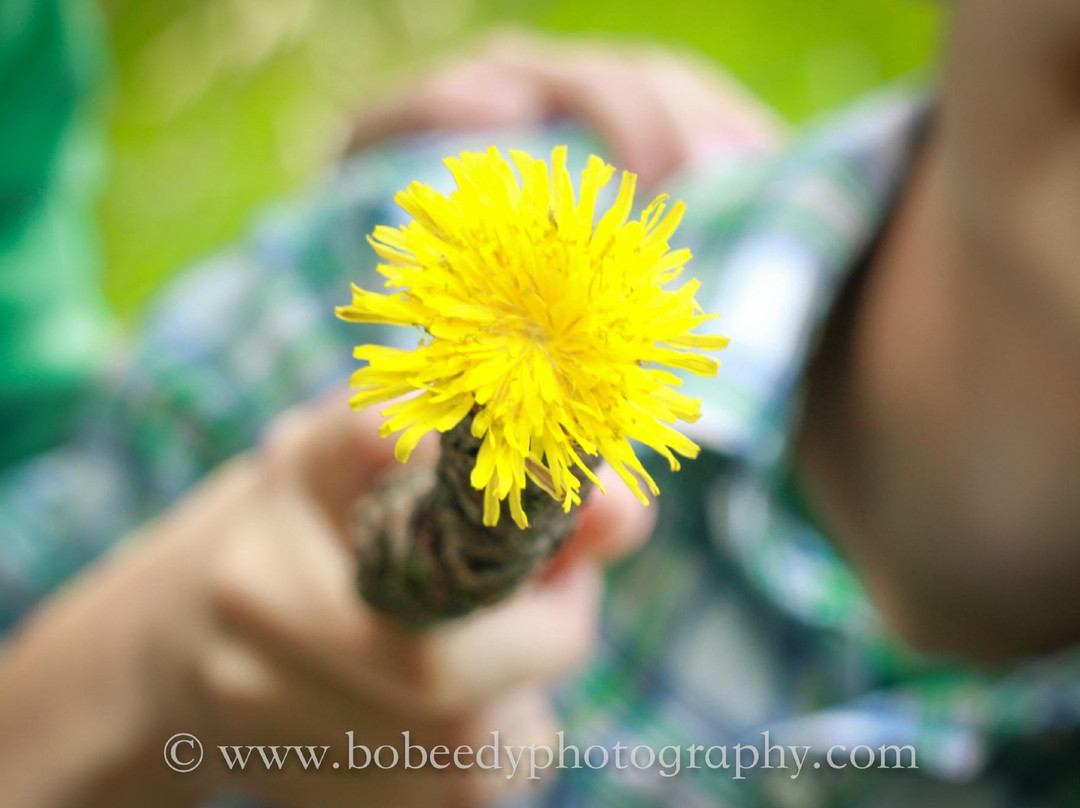 Fish Lake Regional Park-Maple Grove必去景点