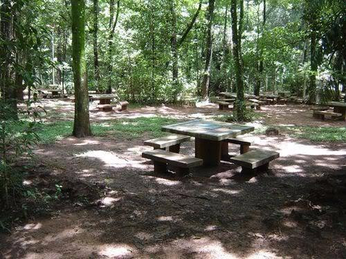 Zoologico Municipal Doutor Belirio Guimaraes Brandao-Garca必去景点