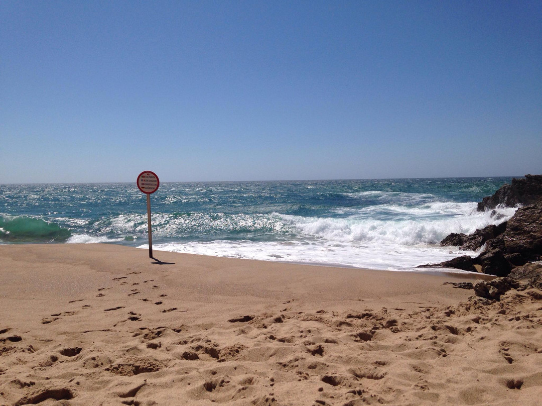 Cresmina Beach景点图片