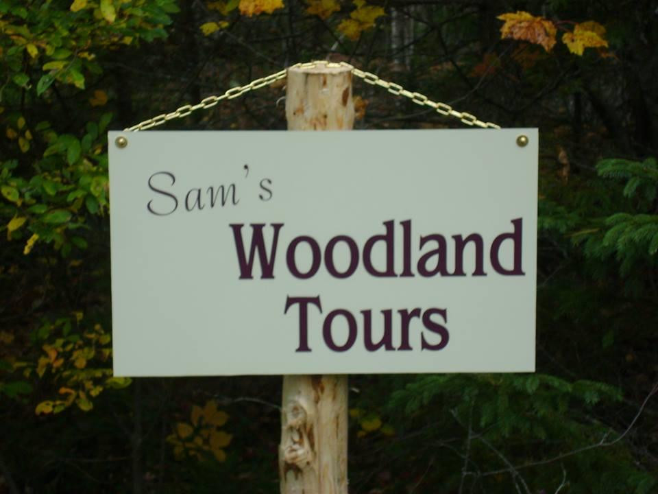 Sam's Woodland Tours-Bridgewater必去景点