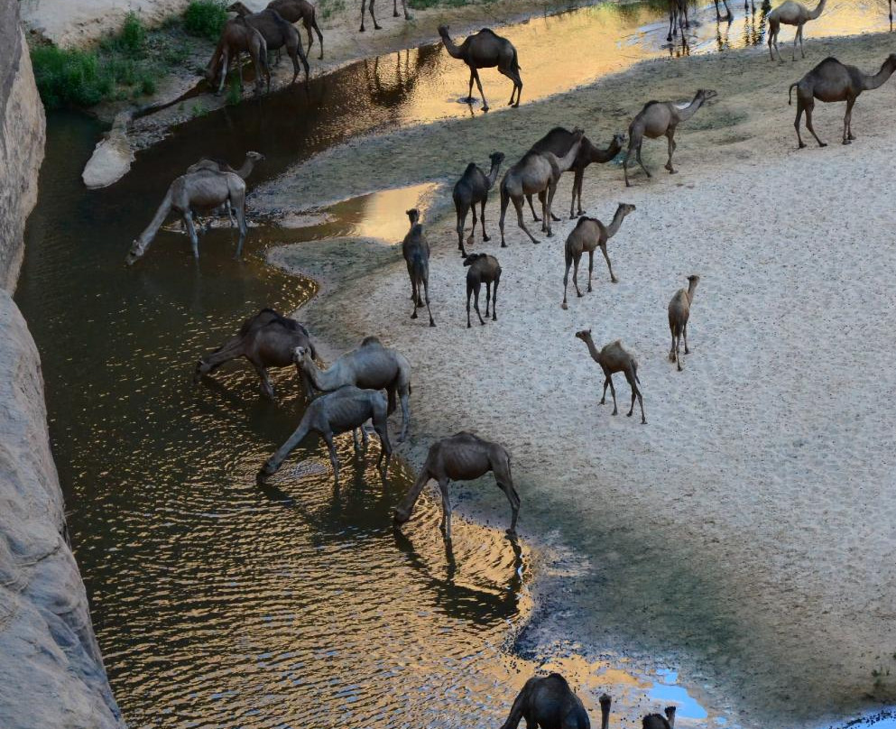 Guelta d'Archei-Fada必去景点