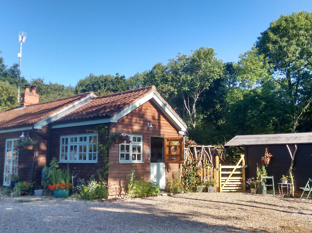 Flixton酒店住宿-Frog Hollow Woodland Bed and Breakfast