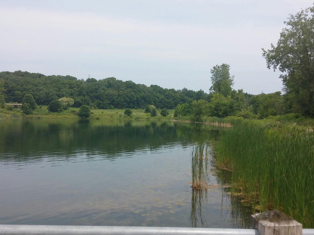 Markin Glen County Park景点图片