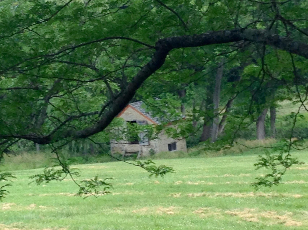 Locust Grove-路易斯维尔必去景点