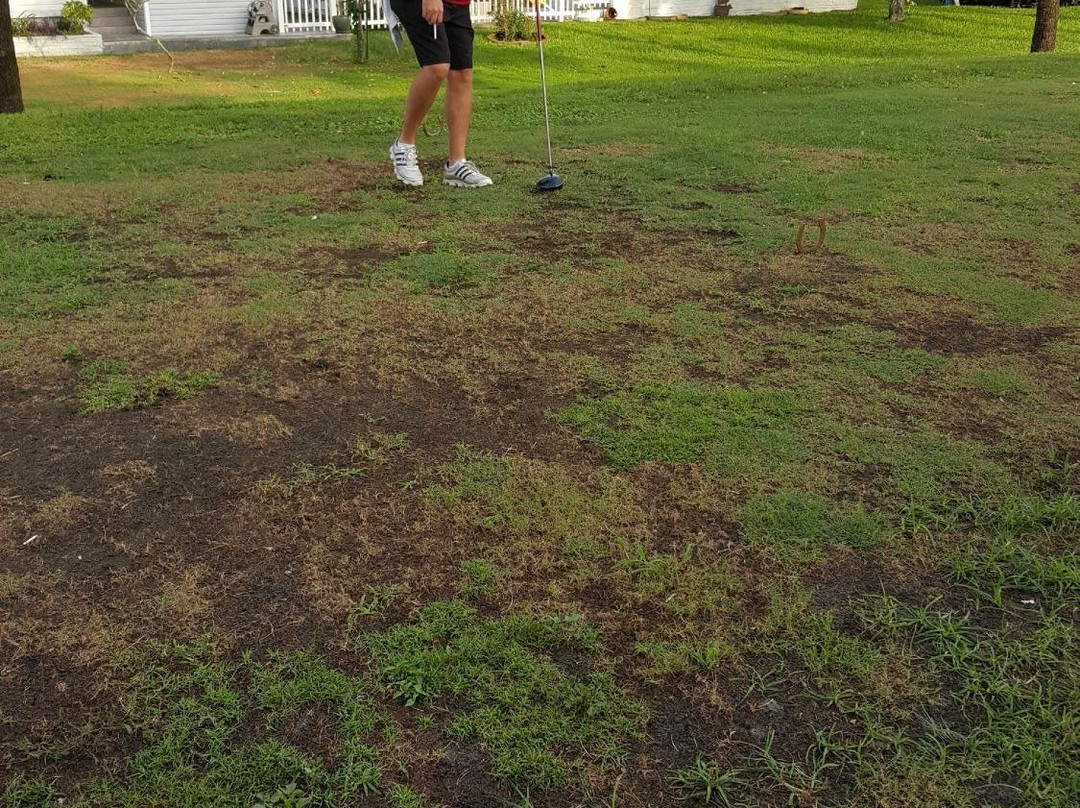 Davie Golf Club-戴维必去景点