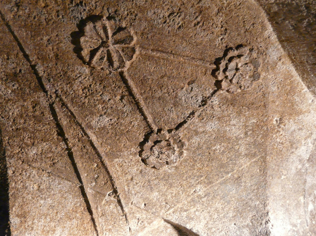 Musée de Salers Maison dite des Templiers-Salers必去景点
