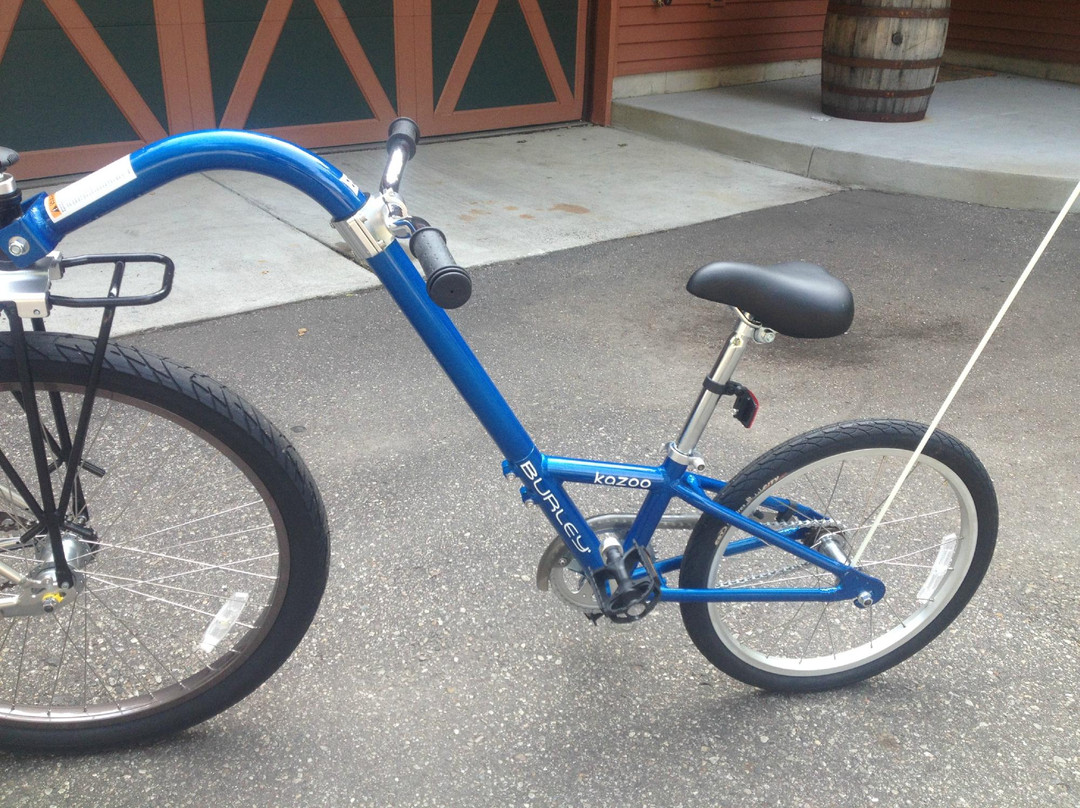 Beachside Bike Rentals景点图片