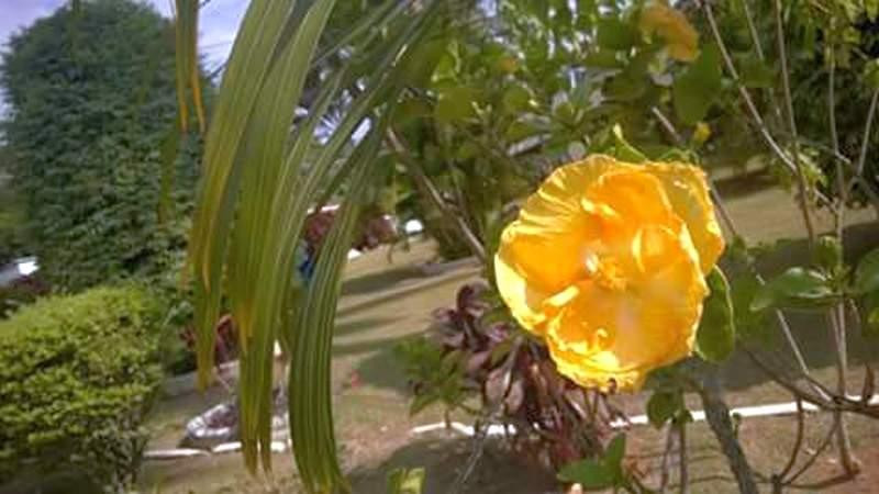 Casa-Sede da Fazenda Pau Grande-Paty do Alferes必去景点