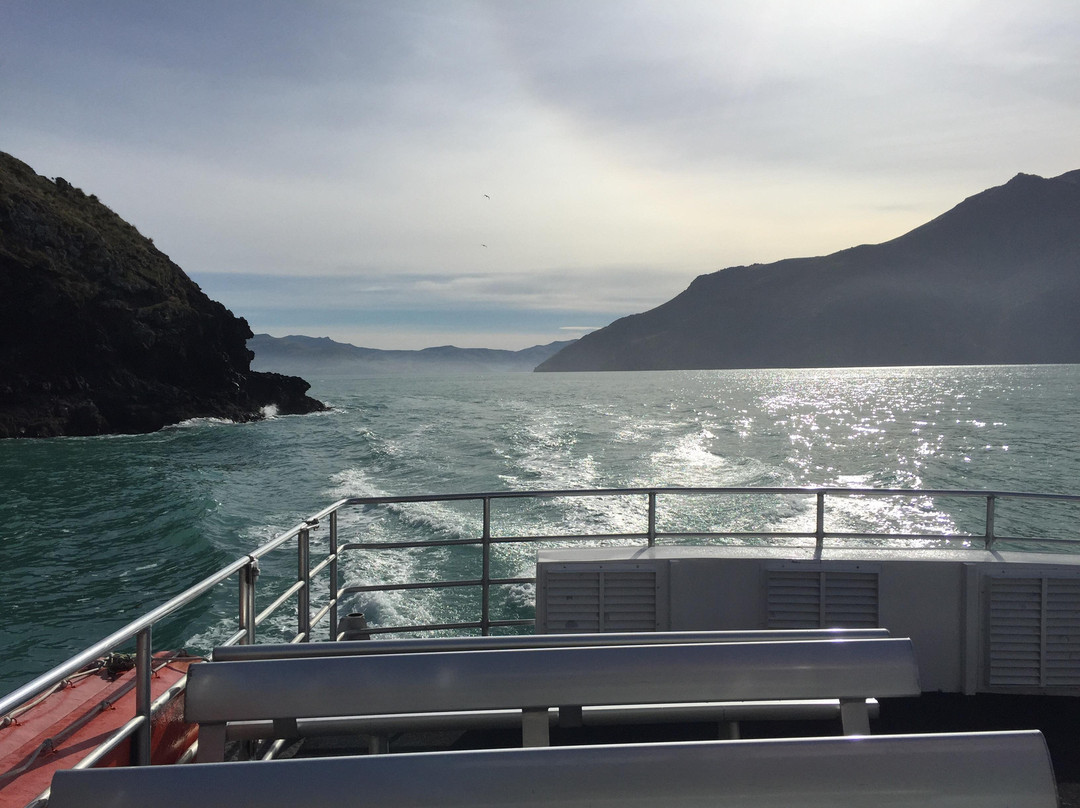 Black Cat Cruises-阿卡罗阿必去景点