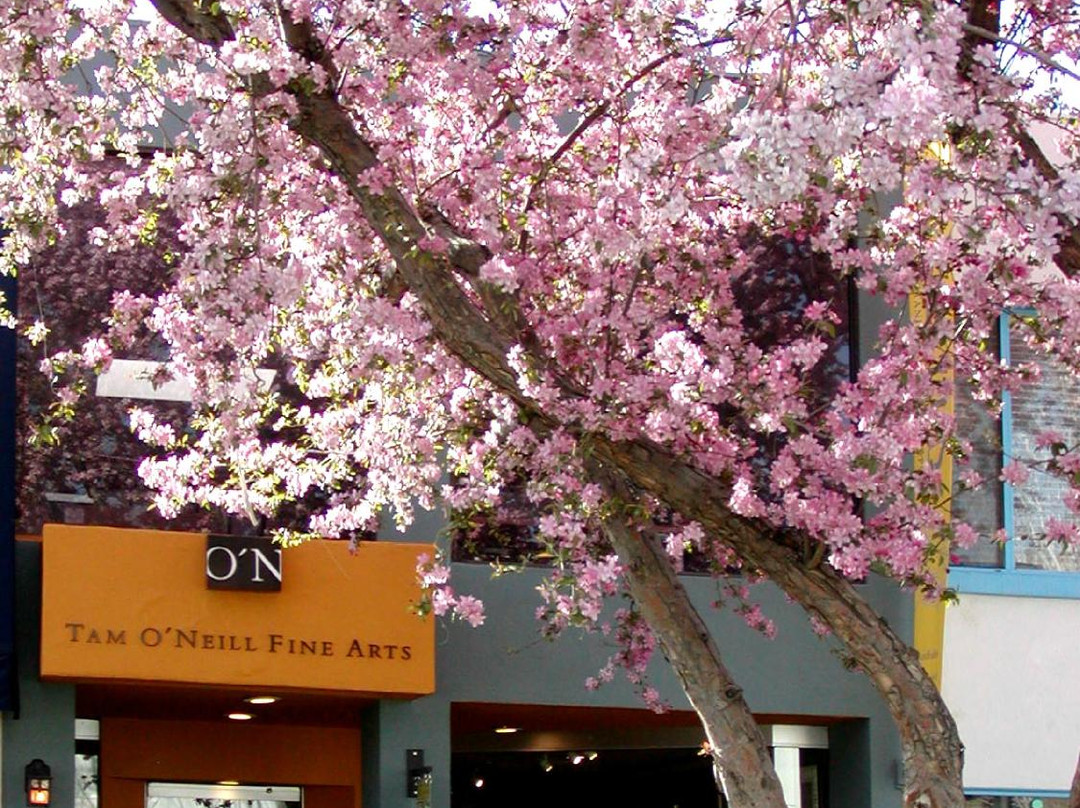 Tam O'Neill Fine Arts Gallery-丹佛必去景点