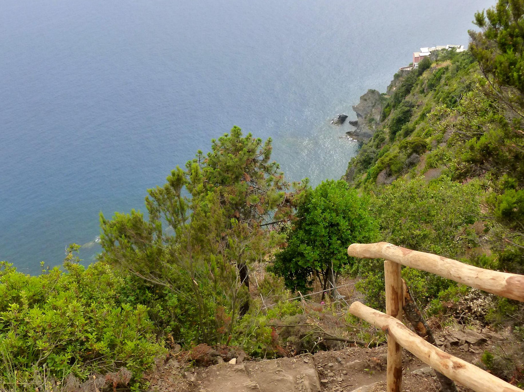 Trail 531 Riomaggiore - Manarola景点图片