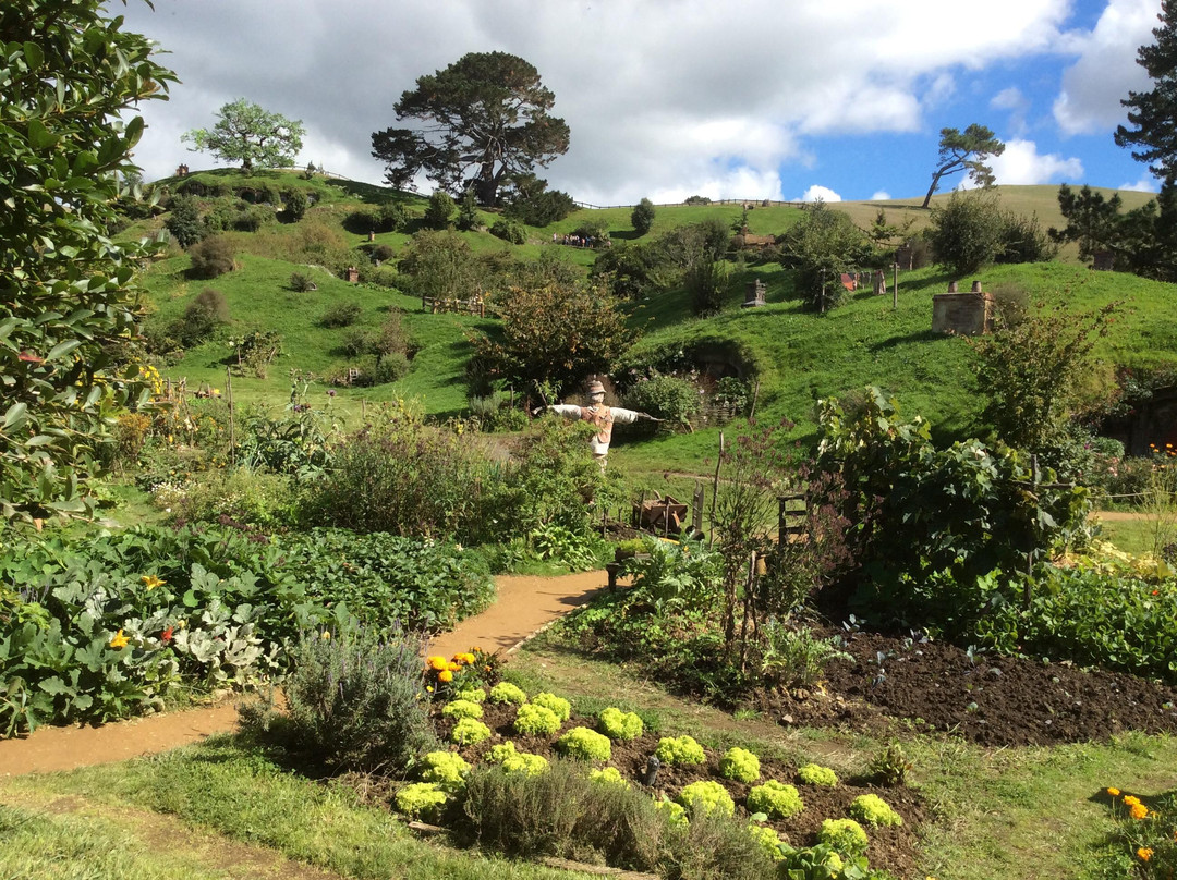 霍比屯电影外景地游览-希努埃拉必去景点
